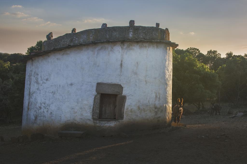 Casa Da Ti Cura Vendégház Atenor Kültér fotó